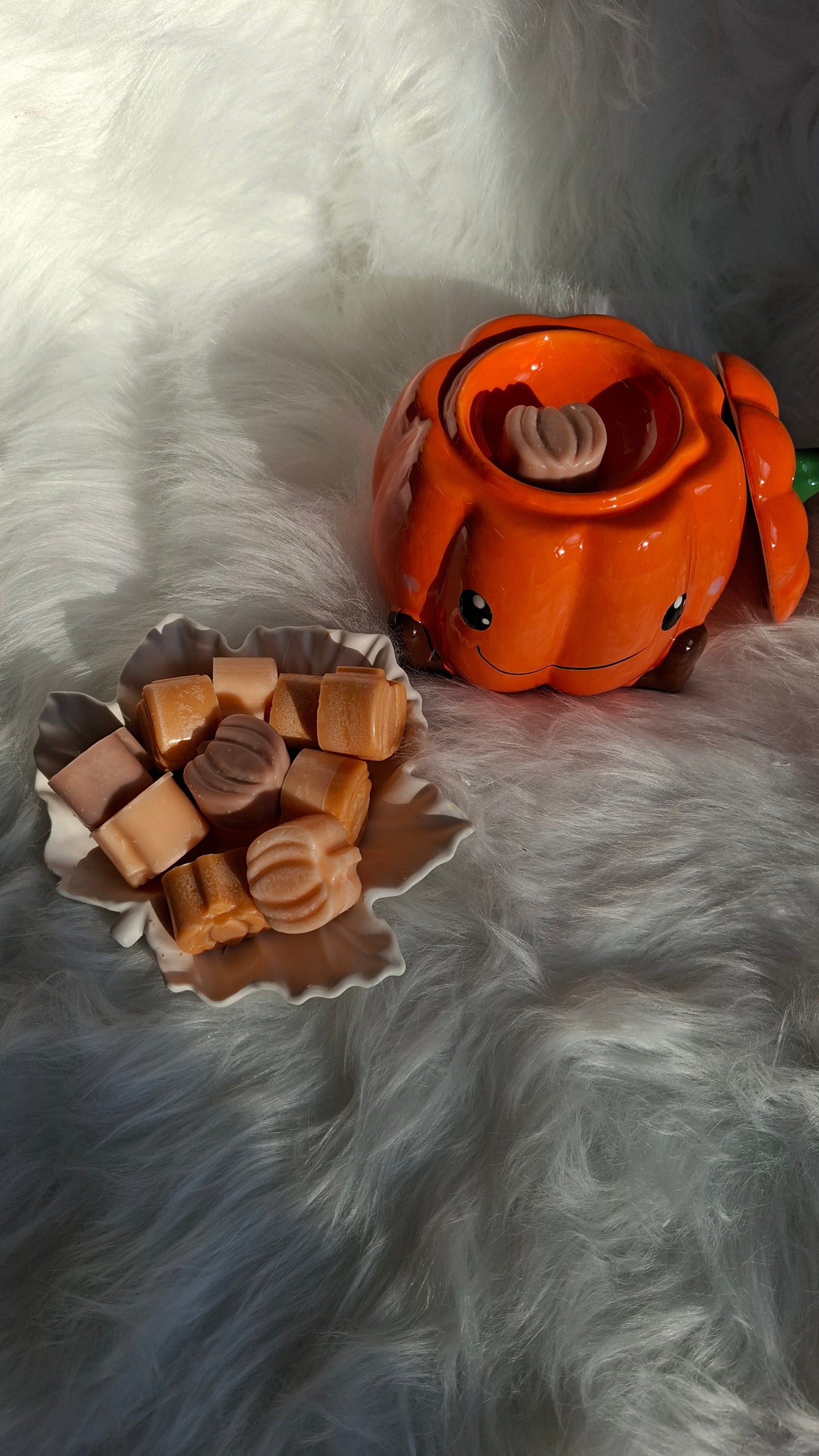 Perfecte Pompoen – Pumpkin Wax Melt(12 Pieces)