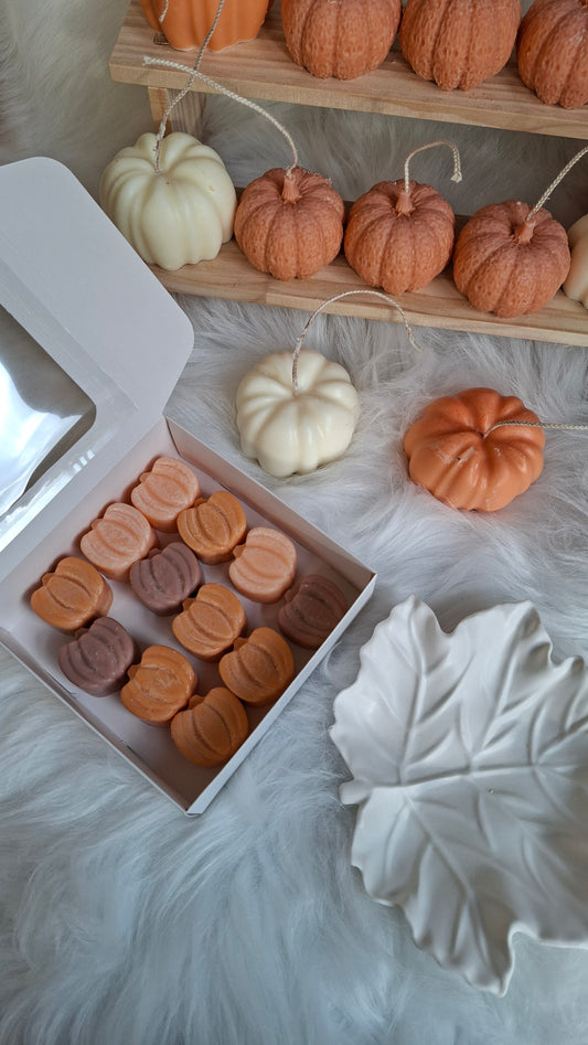 Perfecte Pompoen – Pumpkin Wax Melt(12 Pieces)